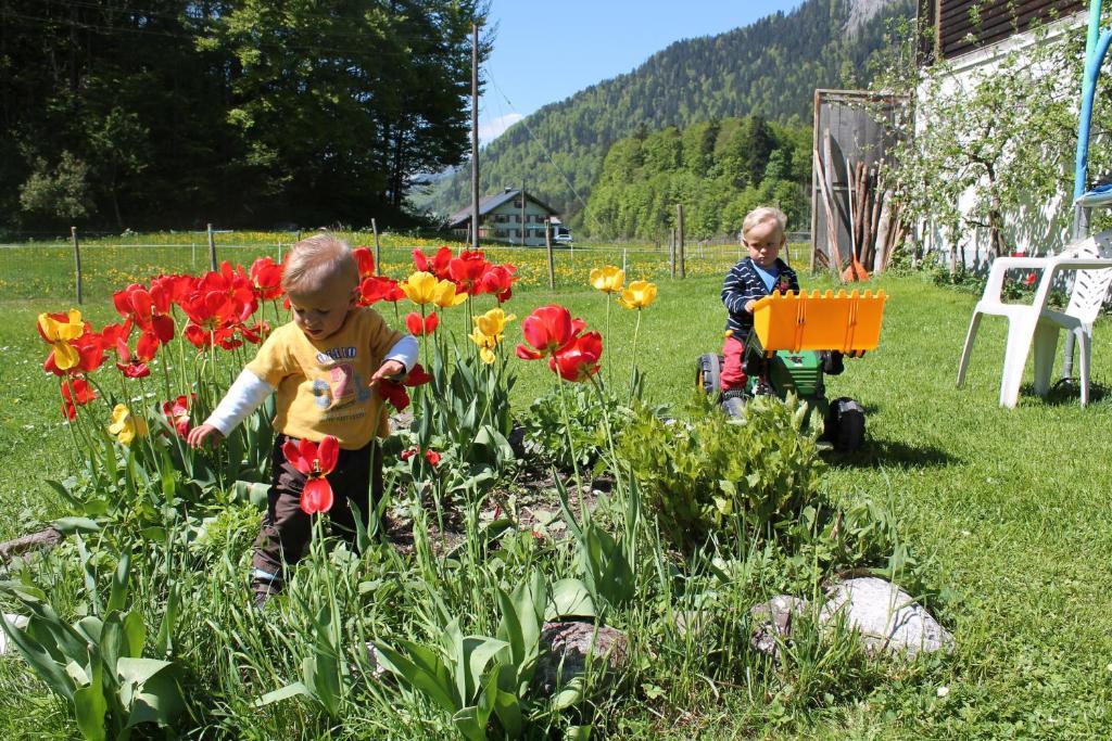 Ferienwohnungen Sutter Au (Vorarlberg) Eksteriør bilde