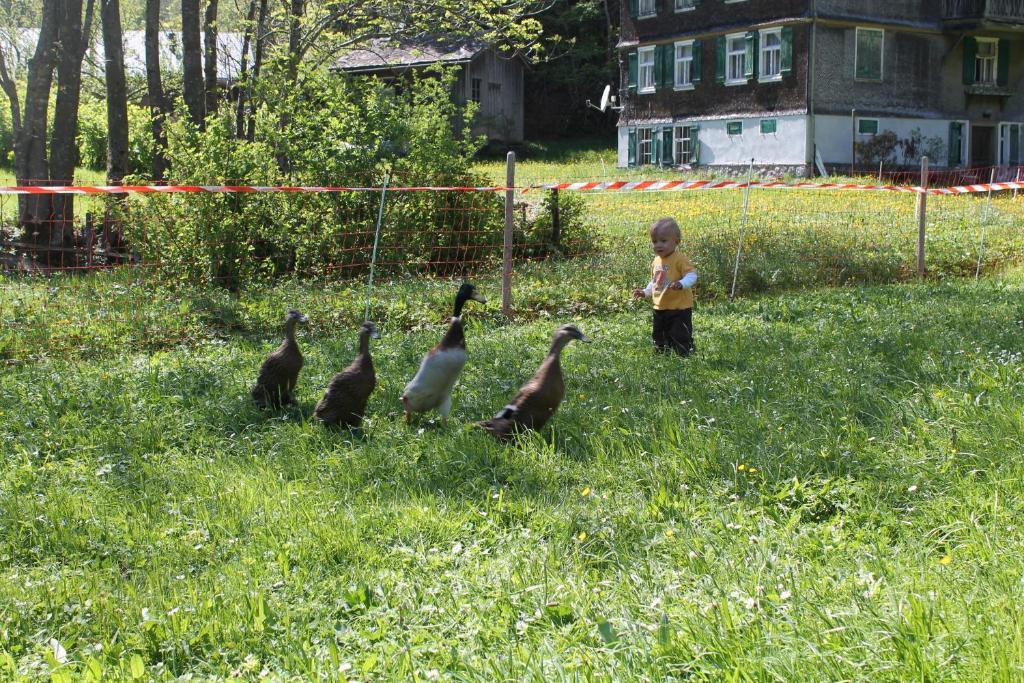 Ferienwohnungen Sutter Au (Vorarlberg) Eksteriør bilde
