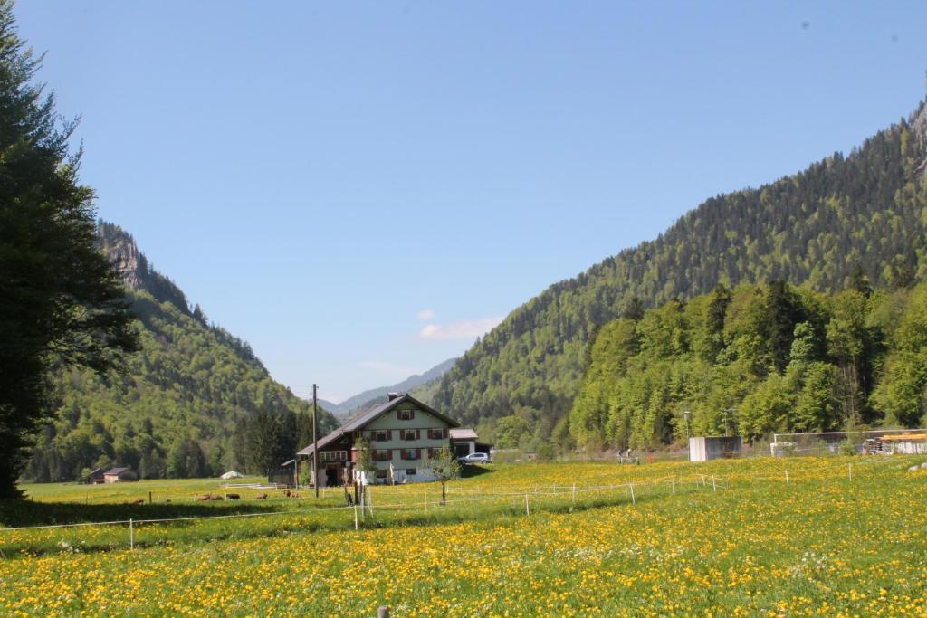Ferienwohnungen Sutter Au (Vorarlberg) Eksteriør bilde